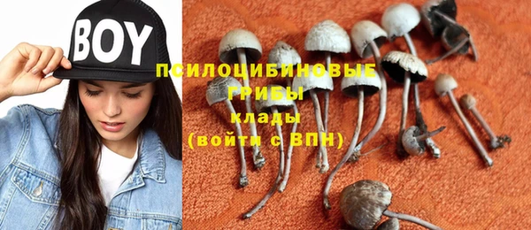 гидропоника Алзамай